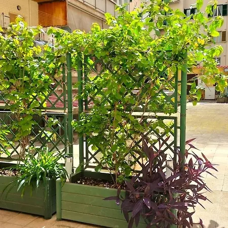 Stefy's House Appio Tuscolano Apartamento